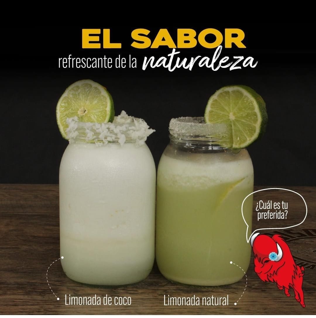 Bebidas Naturales